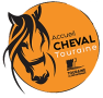 Accueil cheval Touraine
